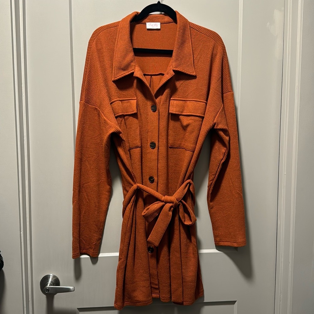 Fall Sweater Dress